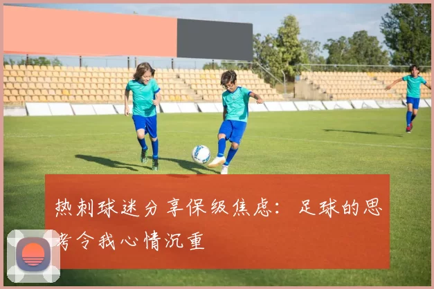 热刺球迷分享保级焦虑：足球的思考令我心情沉重
