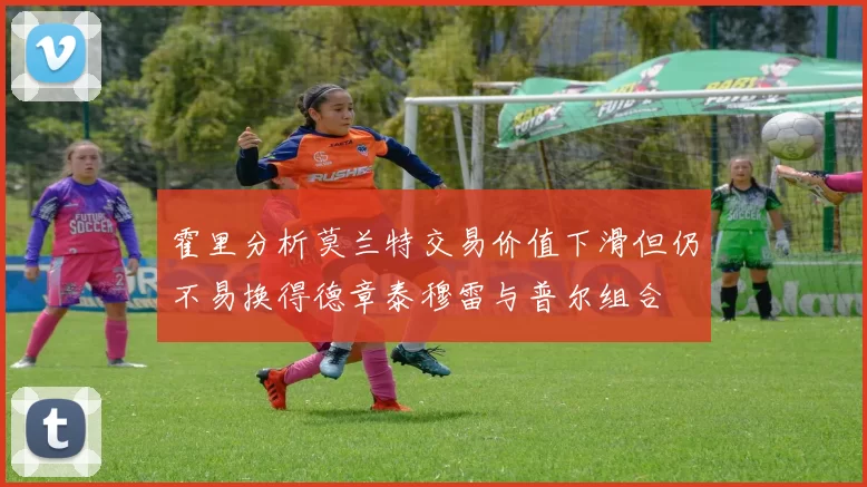 霍里分析莫兰特交易价值下滑但仍不易换得德章泰穆雷与普尔组合