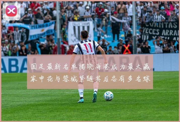 国足最新名单揭晓海港成为最大赢家申花与蓉城紧随其后各有多名球员入选